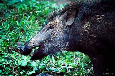 പ്രതീകാത്മക ചിത്രം