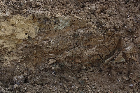 പാലക്കാട് ശിരുവാണി ഡാമിന് സമീപം ഭൂമി ഇടിഞ്ഞ് താഴ്ന്നു