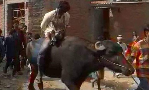 പീഡനവീരന് നാട്ടുകൂട്ടത്തിന്റെ ശിക്ഷ ; മുഖത്ത് കരിപൂശി ചെരുപ്പ് മാല അണിയിച്ച് പോത്തിന്റെ പുറത്തിരുത്തി ഗ്രാമത്തിലൂടെ നടത്തിച്ചു ( വീഡിയോ )