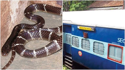 കള്ളവണ്ടി കയറിയ ‘യാത്രക്കാരനെ’ റെയിൽവേ ജീവനക്കാർ തല്ലിക്കൊന്നു!