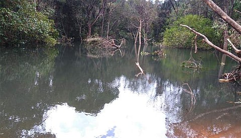 അരുവി തടാകമായി മാറി, വയനാട് വനത്തിനുള്ളിലെ ഉരുള്പ്പൊട്ടലില് സംഭവിച്ചത്