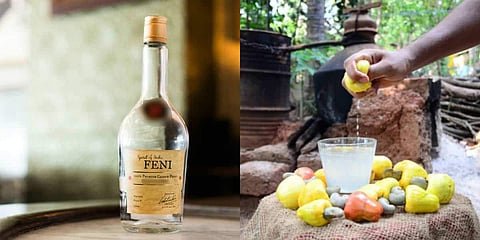 ഇനി 'ഫെനി'ക്കായി ഗോവയ്ക്ക് പോകണം എന്നില്ല;  കേരളത്തില് കശുമാങ്ങ മദ്യം നിര്മ്മിക്കാന് പദ്ധതിയുമായി പ്ലാന്റേഷന് കോര്പറേഷന്