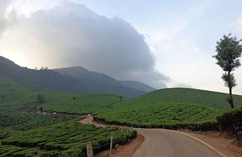 മൂന്നാറില് കൊടും തണുപ്പ്, മഞ്ഞുവീഴ്ച; താപനില മൈനസ് ഒരു ഡിഗ്രി, സഞ്ചാരികളുടെ തിരക്ക്