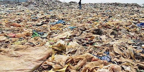 മാലിന്യ സംസ്കരണത്തിന് ഒന്നും ചെയ്തില്ല; കൊച്ചി നഗരസഭയ്ക്ക് 10 കോടി രൂപ പിഴ ചുമത്തി