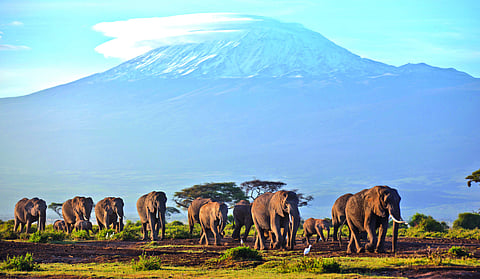ഗാന്ധിയും ഘാനയും അടിമത്തത്തിന്റെ രണ്ടാംവരവും: കെ രാജേന്ദ്രന് എഴുതുന്നു