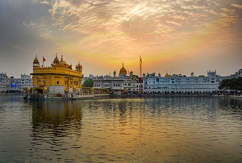 ഓരോ വൃക്ഷവും ഓരോ സംജ്ഞകള്: ആഷാ മേനോന് എഴുതുന്നു