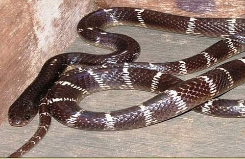 പ്രതീകാത്മക ചിത്രം