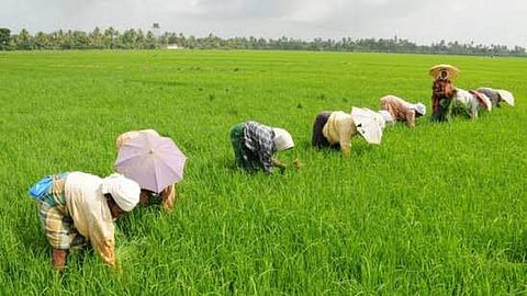 കാര്ഷിക വായ്പയുടെ മൊറട്ടോറിയം വീണ്ടും നീട്ടി; മാര്ച്ച്31വരെ സമയം