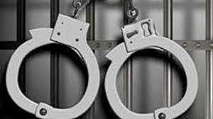 നവദമ്പതികളെ അപകീര്ത്തിപ്പെടുത്തിയ കേസ്: 11 പേര് അറസ്റ്റില്