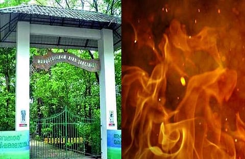 ഹൈക്കോടതിക്ക് സമീപം മംഗളവനത്തില് തീപിടിത്തം; കൊച്ചി നഗരത്തില് ദിവസങ്ങള്ക്കിടെ മൂന്നാമത്തെ അഗ്നിബാധ