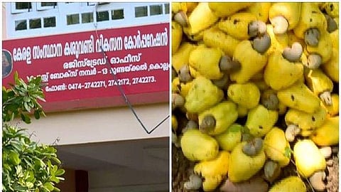 മദ്യം ഉത്പാദിപ്പിക്കാന് അനുമതി വേണം; കശുവണ്ടി വികസന കോര്പ്പറേഷന് സര്ക്കാരിനെ സമീപിച്ചു