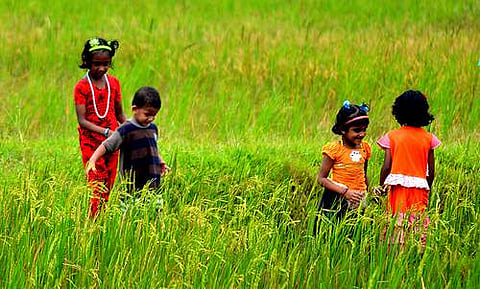 കുട്ടികളെ തൊടിയില് കളിച്ചുവളരാന് വിടൂ; പച്ചപ്പും ഹരിതാഭയും മാനസികപ്രശ്നങ്ങളെ അകറ്റും