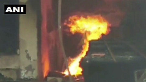 സ്വന്തം ജീവന് നല്കി 30ലധികം മനുഷ്യരെ രക്ഷിച്ചു; കരളലിയിപ്പിക്കുന്ന ഒരു നായയുടെ കഥ, വൈറല്