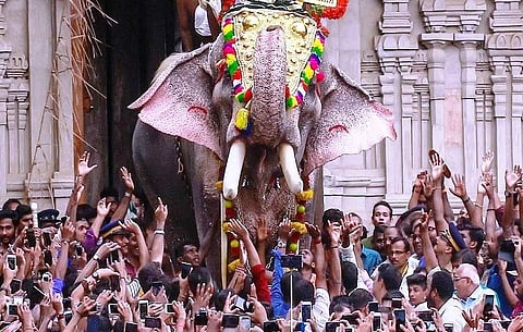 പൂര ആവേശത്തില് തൃശൂര് ; തിടമ്പേറ്റി തെക്കേഗോപുര നട തുറന്ന് തെച്ചിക്കോട്ടുകാവ് രാമചന്ദ്രന് ; പൂരത്തിന് തുടക്കം