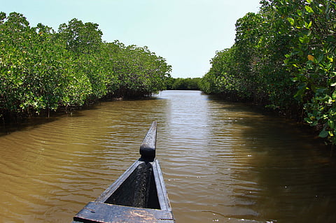 ഫോട്ടോ: പ്രസൂണ് കിരണ്