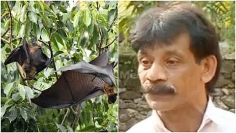 നിപ്പ വൈറസ്: സാബിത്തിന്റെ കൈയിൽ വവ്വാലിന്റെ രക്തം പറ്റിയിരുന്നു; വെളിപ്പെടുത്തലുമായി സുഹൃത്ത്