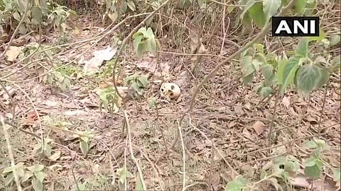 മുസഫർപുർ ആശുപത്രിക്ക് പിന്നിൽ അസ്ഥികൂടങ്ങളും മൃതദേഹ അവശിഷ്ടങ്ങളും; പ്രതിഷേധം