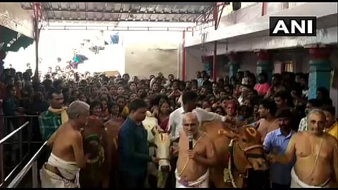 രാജ്യത്ത് ഇനി ഒരു കുട്ടിയും ബലാത്സംഗത്തിന് ഇരയാകാന് പാടില്ല; പശുക്കളെ ആരാധിച്ച് പൂജാരിമാര്, പ്രാര്ത്ഥന