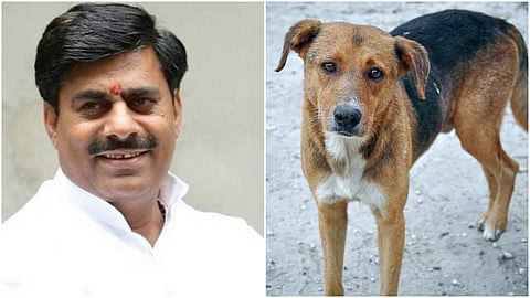 'ഞങ്ങള് പട്ടികള് തന്നെ, ജനങ്ങളുടെ വിശ്വസ്തരായ പട്ടികള്'; കോണ്ഗ്രസിന് മറുപടിയുമായി ബിജെപി