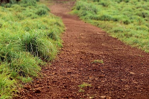 കഥയിഴകളും മണ്ണിഴകളും: മണ്ണുമായി ഇഴയടുപ്പമുള്ള നാലുകഥകളുടെ വായന