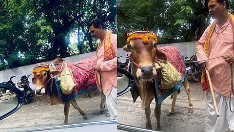 'വിശുദ്ധ പശു ഭാവി പ്രവചിക്കും'; റോബര്ട്ട് വദ്രയുടെ വീഡിയോ വൈറല്