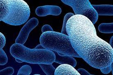 കൊല്ലത്ത് പതിനൊന്ന് കാരന് ഡിഫ്തീരിയ സ്ഥിരീകരിച്ചു: സഹപാഠികള് നിരീക്ഷണത്തില്