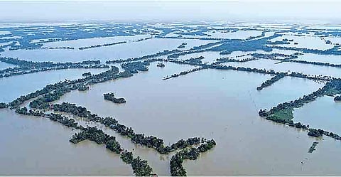കുട്ടനാട് ആശങ്കയില്; മടവീണ് മൂന്നു പാടശേഖരങ്ങള് വെളളത്തില്, ആളുകളെ ഒഴിപ്പിക്കുന്നു, റോഡുകളും മുങ്ങി