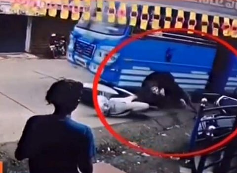നിയന്ത്രണംവിട്ട ബസിന്റെ ചക്രത്തിനുളളില് കുടുങ്ങി റോഡിലൂടെ നിരങ്ങിനീങ്ങി, യാത്രക്കാരുടെ ബഹളം; ബൈക്ക് യാത്രക്കാരന് അത്ഭുതകരമായി രക്ഷപ്പെട്ടു