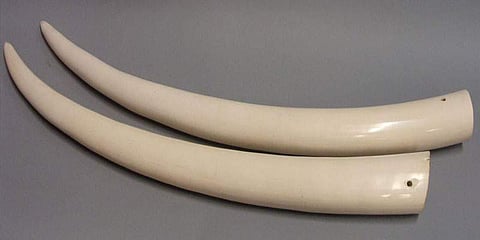 പ്രതീകാത്മകചിത്രം