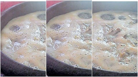 തിരമാല പോലെ പതഞ്ഞുപൊങ്ങി മീന് കറി; അമ്പരന്ന് വീട്ടുകാര്