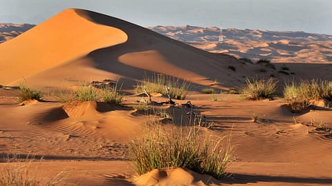 ഒമാനിലെ മരുഭൂമിയില് കുടുങ്ങി കുടുംബം; മണിക്കൂറുകള് നീണ്ട തിരച്ചിലിനൊടുവില് രക്ഷപെടുത്തി