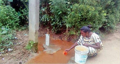 പൊതുടാപ്പ് സാമൂഹിക വിരുദ്ധർ നശിപ്പിച്ചു; പൊട്ടിയൊഴുകുന്ന ചെളിവെള്ളം കോരിയെടുത്ത് ആദിവാസി കോളനിവാസികൾ