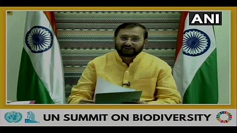 'കോവിഡിന് ഇടയാക്കിയത് തെറ്റായ ഭക്ഷണവും പ്രകൃതി ചൂഷണവും'- പ്രകാശ് ജാവഡേക്കര്