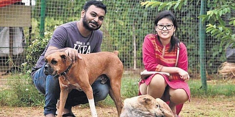 500 തെരുവ് മൃഗങ്ങള്ക്ക് വിവാഹ സദ്യ; പണം കണ്ടെത്താന് ലോണെടുത്തു, ഇങ്ങനെയും ഒരു കല്യാണം!