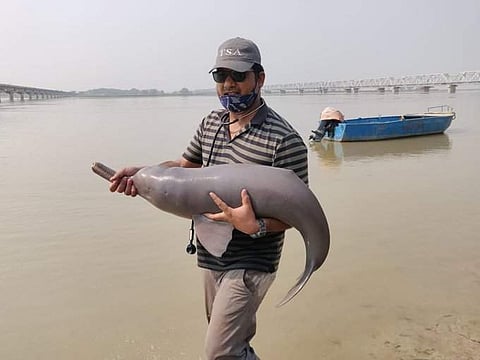 ഡോള്ഫിന് കനാലില്! രക്ഷകരായത് നാട്ടുകാര്; ചിത്രങ്ങള്