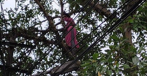 മണിക്കൂറുകള് കാത്തുനിന്നിട്ടും പരാതി സ്വീകരിച്ചില്ല;പൊലീസ് സ്റ്റേഷനിലെ മരത്തില് ട്രാന്സ്ജെന്ഡറുടെ ആത്മഹത്യാശ്രമം