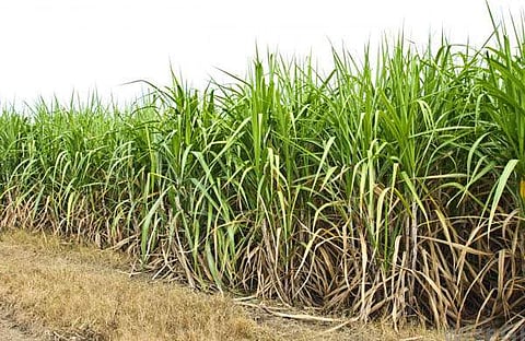 പ്രതീകാത്മക ചിത്രം