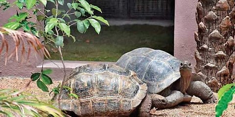 പ്രതീകാത്മക ചിത്രം