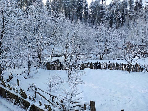 ചിത്രം: ട്വിറ്റര്