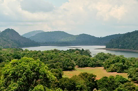 അതിരപ്പിള്ളിയല്ല, ഇത്തവണ ആനക്കയം