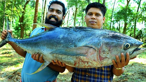 50 കിലോ കേരയെ വെട്ടി ചട്ടിയിലാക്കി; കൊതിയൂറുന്ന മീന്കറിയുമായി ഫിറോസ്; വിഡിയോ