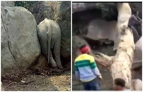 പാറക്കൂട്ടങ്ങള്ക്കിടയില് കുട്ടിയാന കുടുങ്ങി; രക്ഷിക്കാനെത്തിയവരെ അടുക്കാന് സമ്മതിക്കാതെ അമ്മയാന, ഒടുവില് സംഭവിച്ചത് (വീഡിയോ)