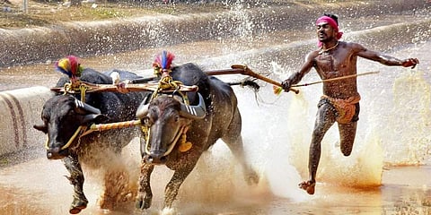 ചരിത്രമെഴുതി 'ഇന്ത്യന് ഉസൈന് ബോള്ട്ട്' വീണ്ടും; ഇത്തവണ മെഡല് നേട്ടത്തില് റെക്കോര്ഡ്