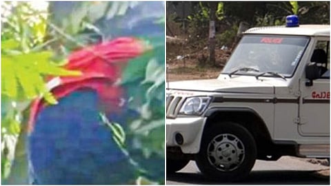 മോഷണമുതല് വീതം വെക്കുന്നതില് തര്ക്കം; മരത്തിലൊളിച്ച കള്ളനെ നാട്ടുകാര് കൈയോടെ പിടികൂടി