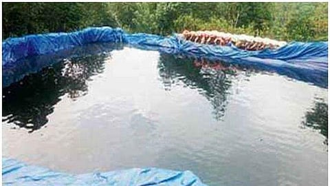 ജലക്ഷാമം രൂക്ഷമായ പ്രദേശത്തെ കുളത്തില് വിഷം കലര്ത്തി; അന്വേഷണം