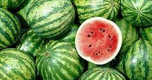 ചരക്കുലോറിയിലെ ഡ്രൈവർമാരിലൊരാൾക്ക് കോവിഡ്; കോട്ടയത്ത് പഴക്കട അടപ്പിച്ചു ; കടയുടമ അടക്കം 17 പേർ നിരീക്ഷണത്തിൽ