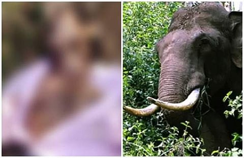 ആറളം ഫാമില് കാട്ടാനയുടെ ആക്രമണം; തൊഴിലാളി കൊല്ലപ്പെട്ടു