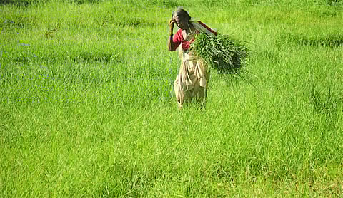 'മലയാളിയുടെ ജീവിതം മാറിമറിയാന് ഡാം പൊട്ടണ്ട, തമിഴന്റെ ഫാം പൂട്ടിയാല് മതി'