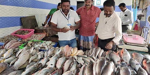 ലോക്ക്ഡൗണില് 'ചീഞ്ഞ മീനിന്റെ ചാകര', പിടികൂടിയത് 29,000 കിലോ പഴകിയ മത്സ്യം; നൂറ് കിലോ മീനില് ഫോര്മാലിന്