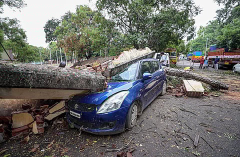 ശക്തമായ കാറ്റിനെ തുടര്ന്ന് കോയമ്പത്തൂരില് കാറിനു മേല് മരം വീണപ്പോള്-പിടിഐ